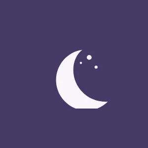 Little Dreamers Co moon logo